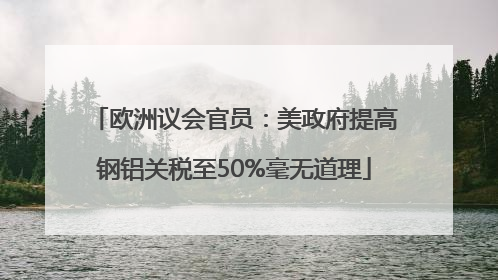 欧洲议会官员：美政府提高钢铝关税至50%毫无道理